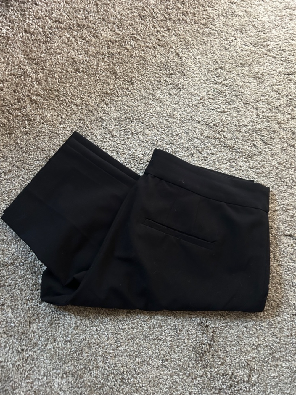 LOFT Women’s Dress Pants - Tailored Look